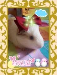 Bulle